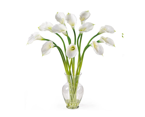 Calla Lilies White (12) Flowers