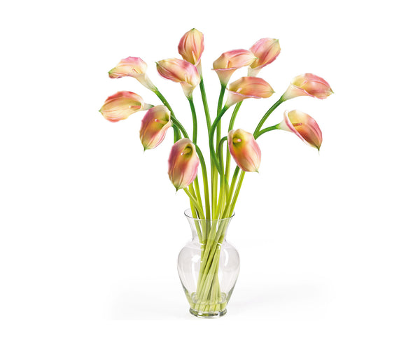 Calla Lilies Pink (12)