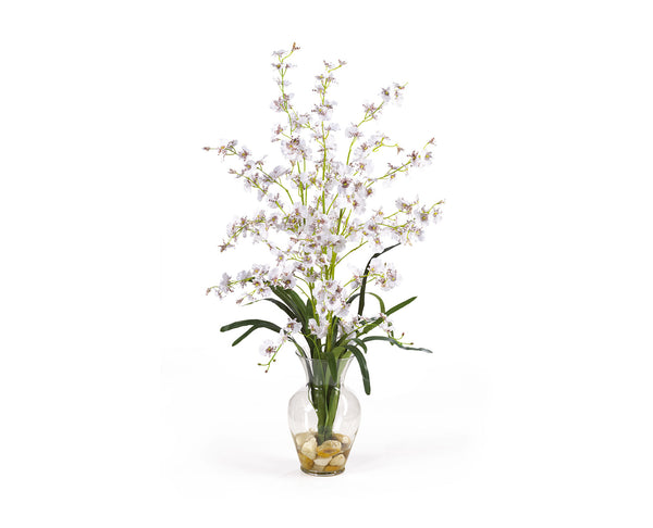 Dancing Lady White Flowers