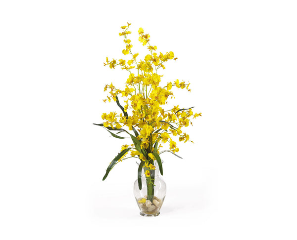 Dancing Lady Yellow Flowers