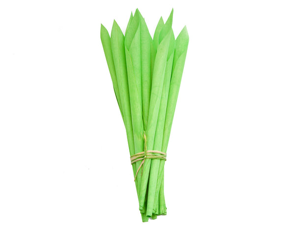Green leafy bundle