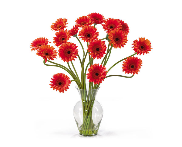 Daisies Orange Flowers