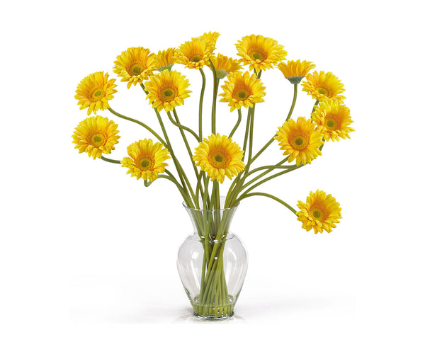 Daisies Yellow Flowers