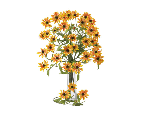 Cosmos Orange Flowers