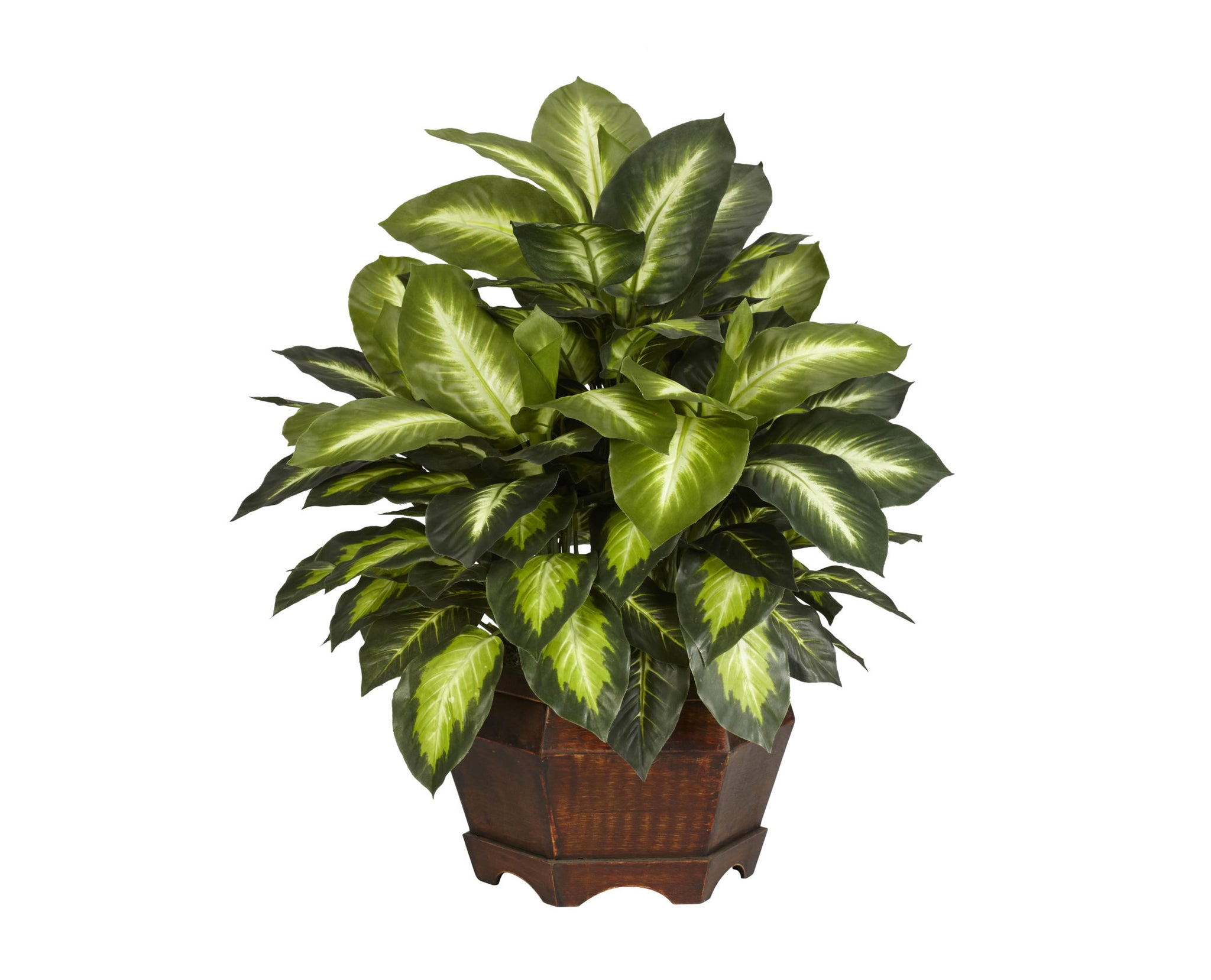 dieffenbachia buy ebay Artificial Dieffenbachia