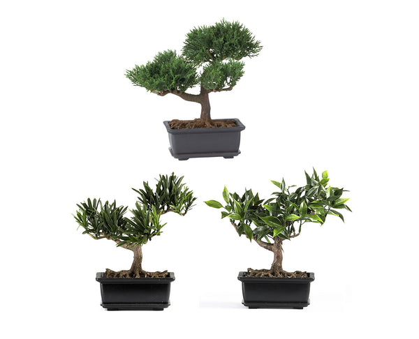 artificial cedar bonsai tree Artificial Bonsai Cedar 24"