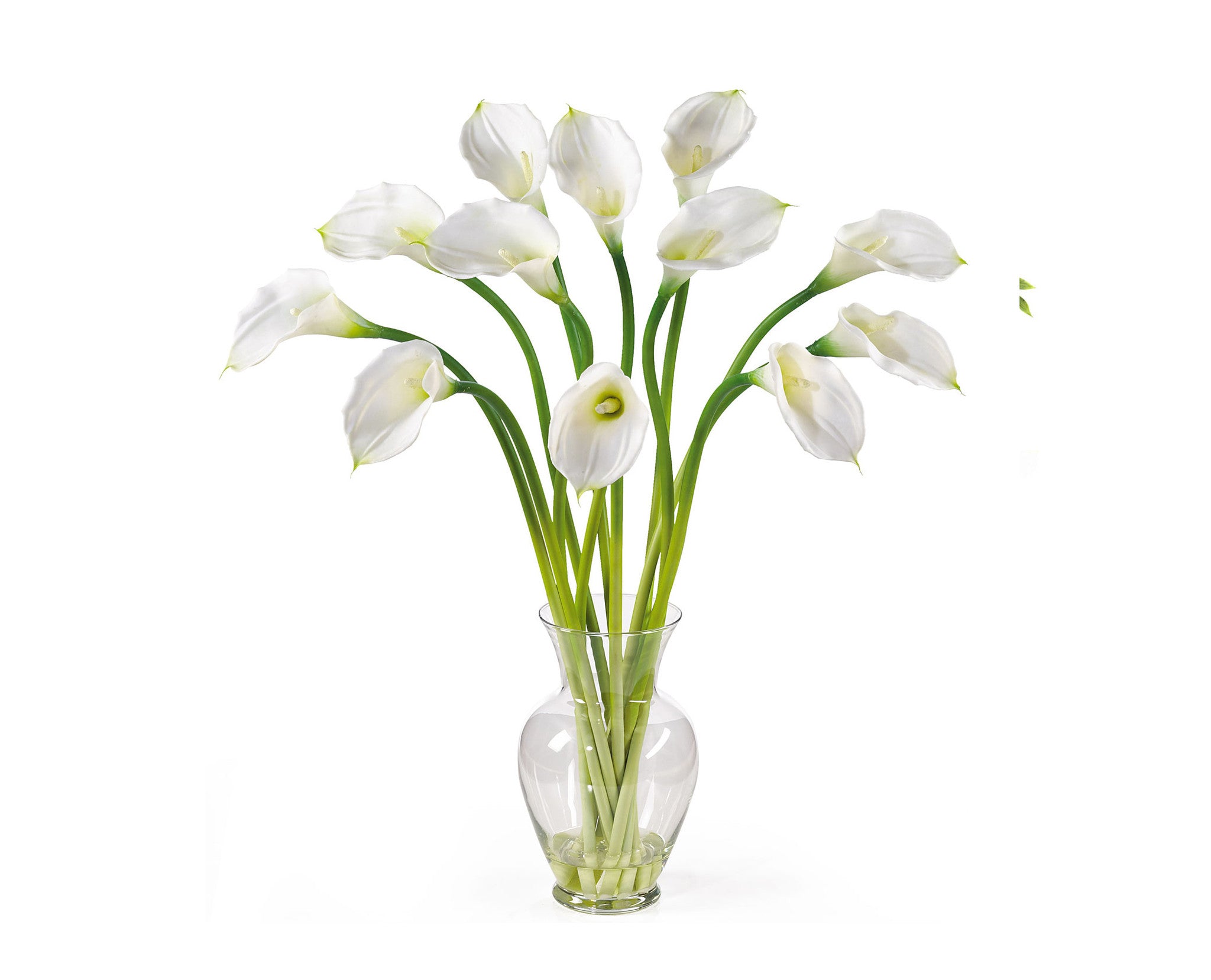 Calla Lilies White (12) Flowers