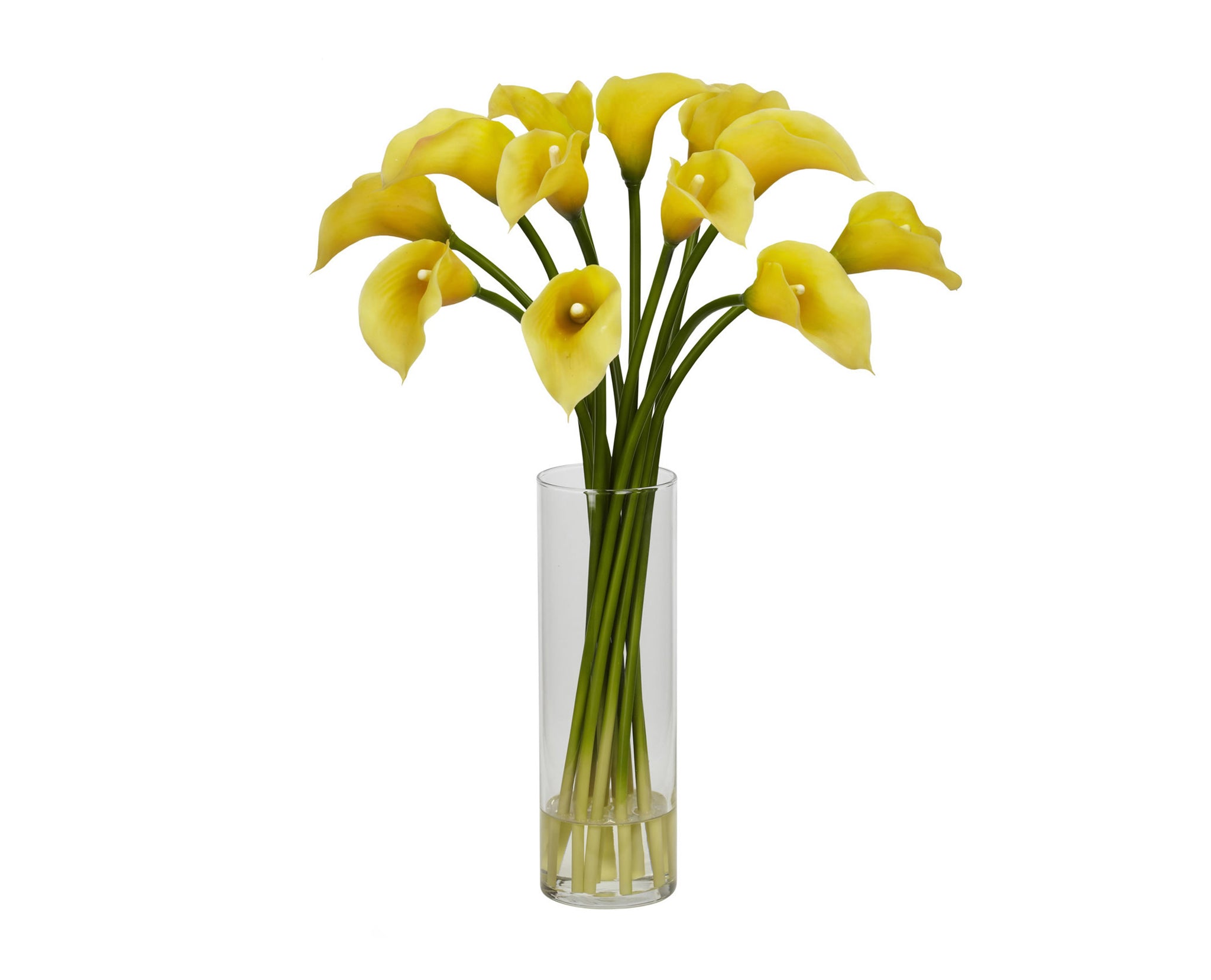 Calla Lilies Yellow Flowers