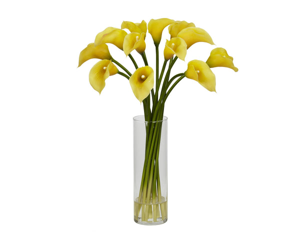 Calla Lilies Yellow Flowers