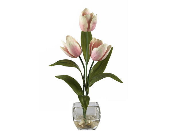 Tulips Cream Pink Flowers