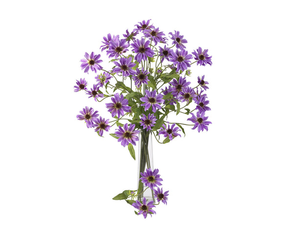 Cosmos Purple Flowers