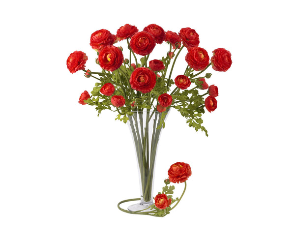 Ranunculus Red Flowers