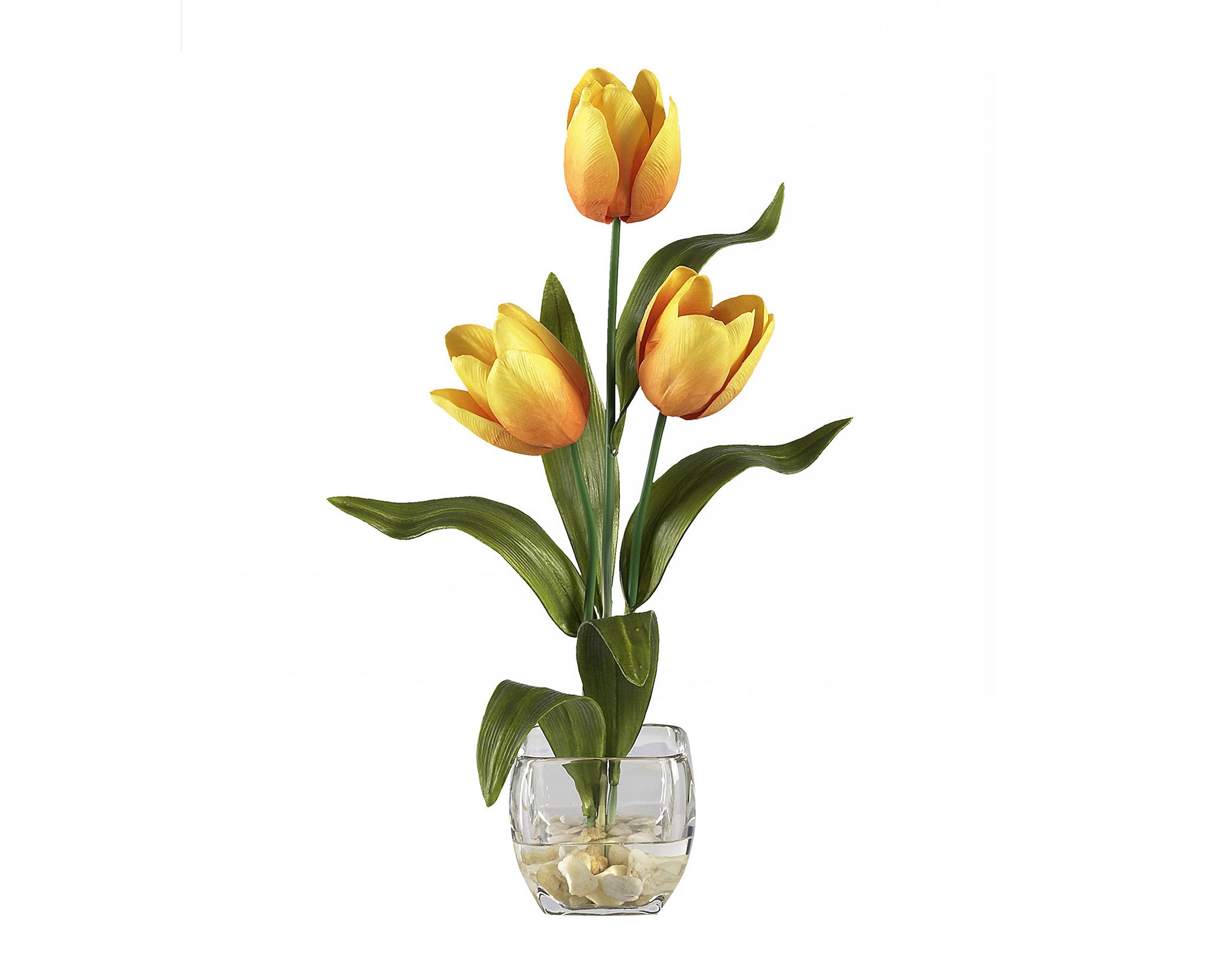 Tulips Yellow Flowers