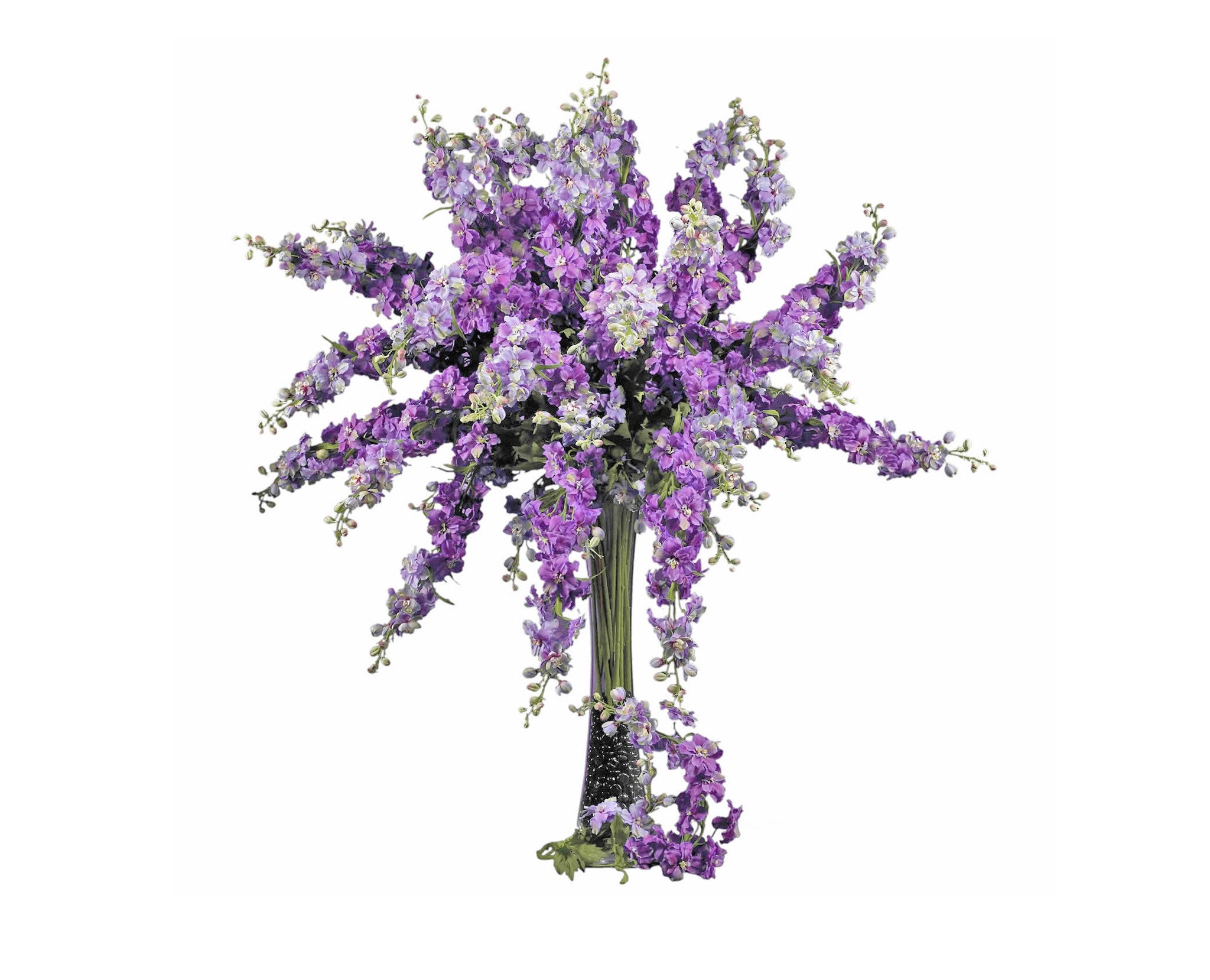 Delphinium Purple (12) Flowers