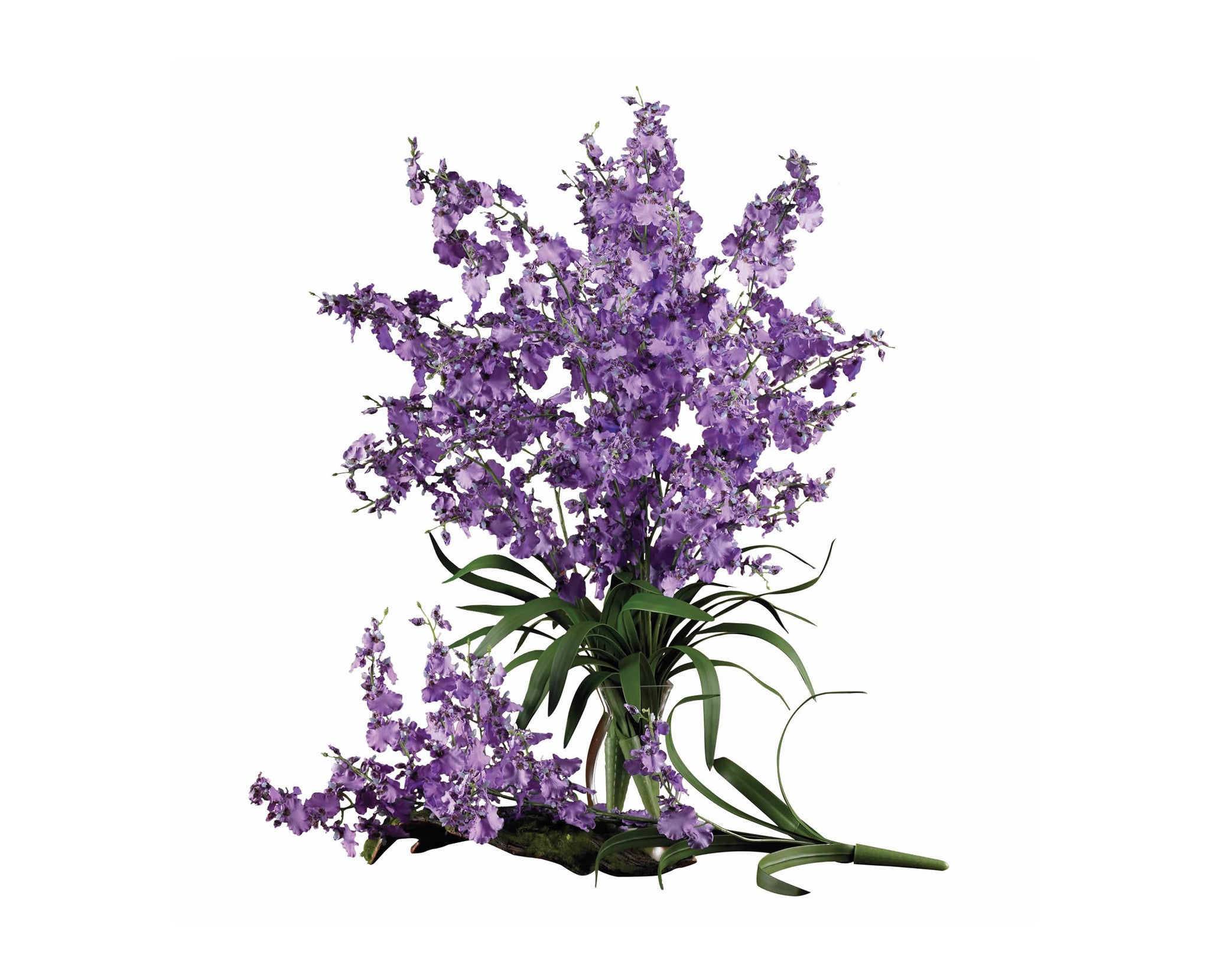 Dancing Lady Purple Flowers