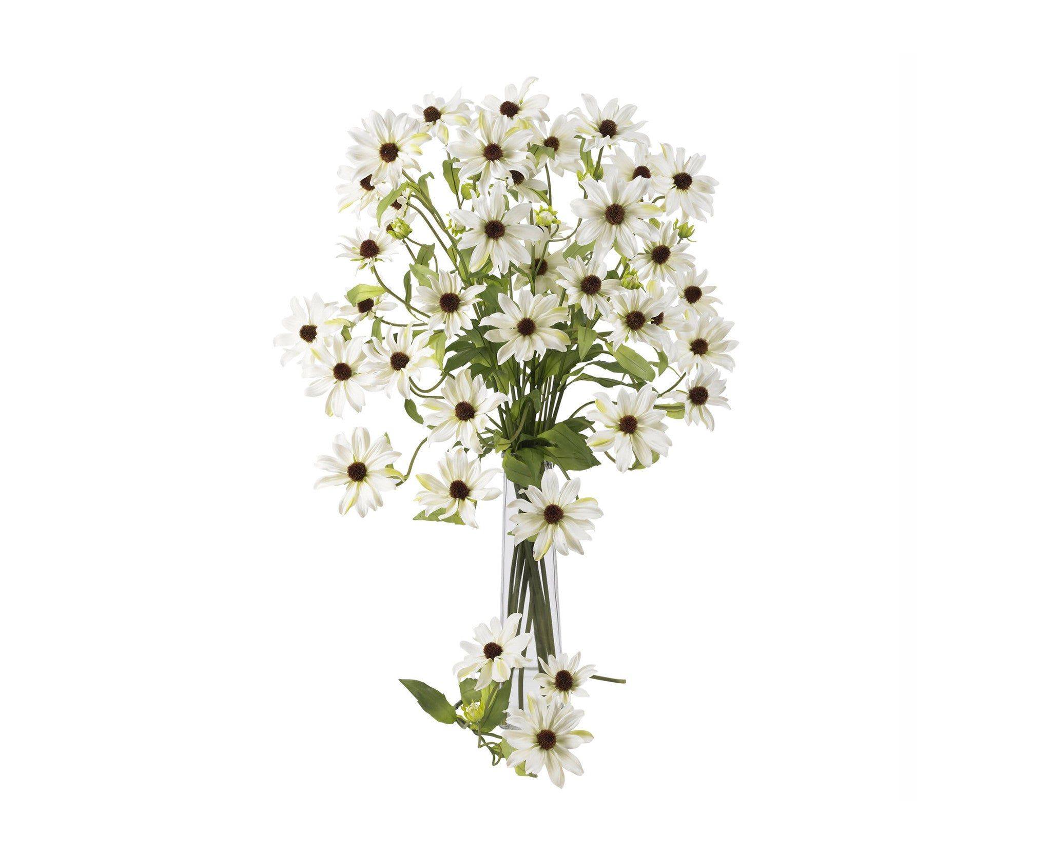 Delphinium White (12) Flowers